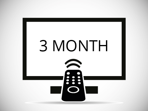 3 months